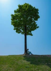 declan-sun-4GJI1jVYvjg-unsplash