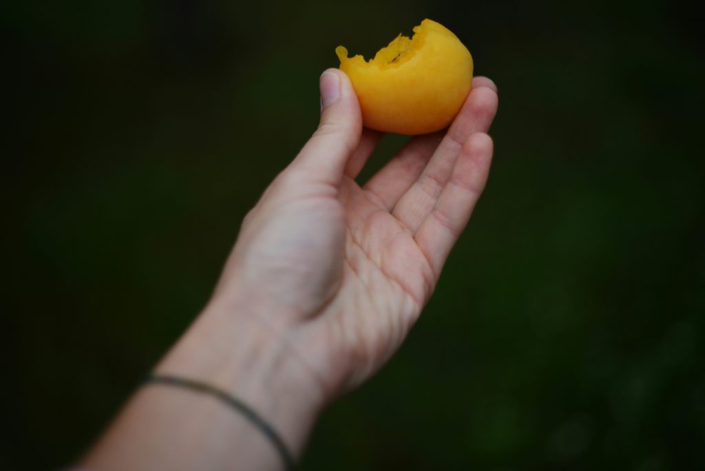 liana-s-n7Bz5E5gYmY-unsplash